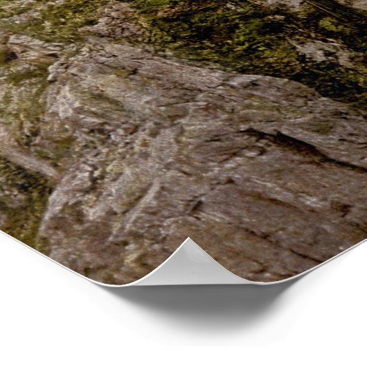  Neuschwanstein Bayern 16 x 20 inch Poster (Hoek)