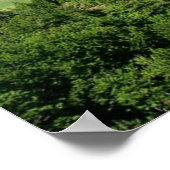 Neuschwanstein Castle, Beieren Duitsland Poster (Hoek)