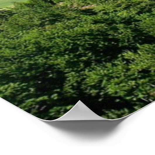 Neuschwanstein Castle, Beieren Duitsland Poster (Hoek)