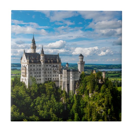 Neuschwanstein Castle - Beieren - Duitsland Tegeltje (Voorkant)