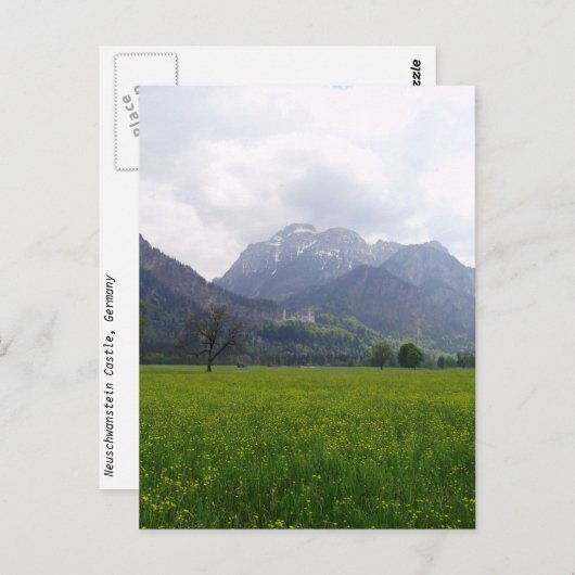 Neuschwanstein Castle Briefkaart (Voorkant / Achterkant)