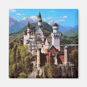 neuschwanstein castle - duitsland magneet