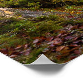 Neuschwanstein Castle, Duitsland Poster (Hoek)