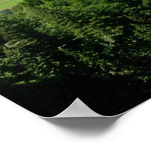 Neuschwanstein Castle Duitsland Poster (Hoek)