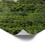 Neuschwanstein Castle Duitsland Poster (Hoek)