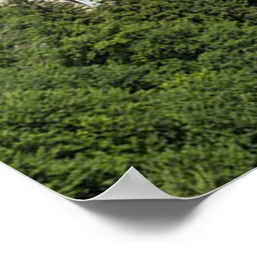 Neuschwanstein Castle Duitsland Poster (Hoek)