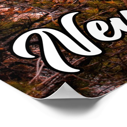 Neuschwanstein Castle, Duitsland Poster (Hoek)