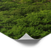 Neuschwanstein Castle, mei 2018 Poster (Hoek)