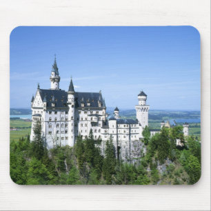 Neuschwanstein Castle Muismat