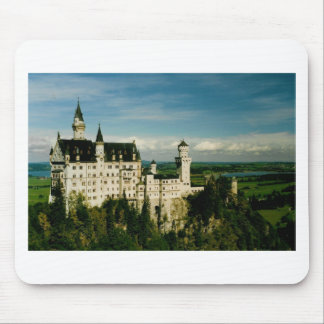 Neuschwanstein Castle Muismat
