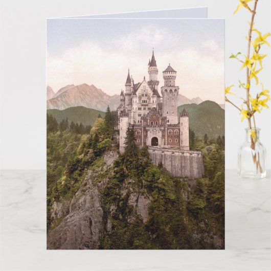 NEUSCHWANSTEIN HET KASTEEL VAN DE BERG VAN BEIEREN KAART (Gele Bloem)