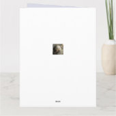 NEUSCHWANSTEIN HET KASTEEL VAN DE BERG VAN BEIEREN KAART (Achterkant)