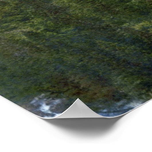 Neuschwanstein Poster (Hoek)