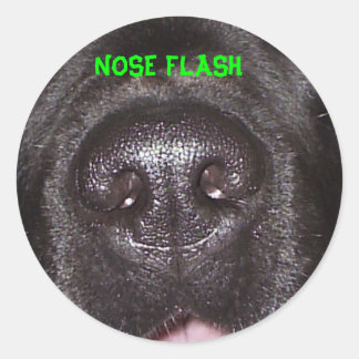 NEUSFLITS RONDE STICKER