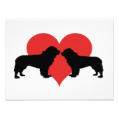 neushonden foto afdruk (Voorkant)