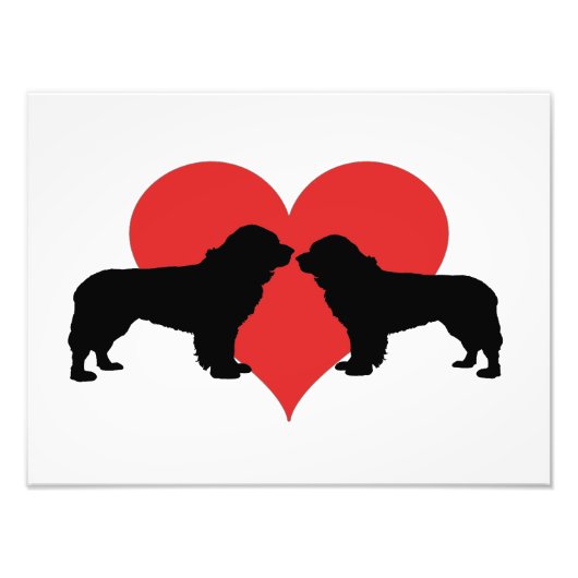 neushonden foto afdruk (Voorkant)