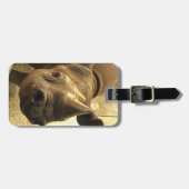 Neushoorn Bagage Label (Voorkant horizontaal)