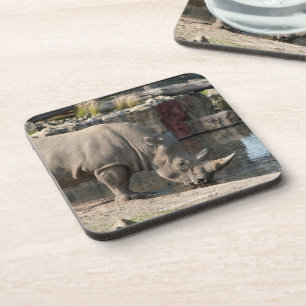 Neushoorn Bier Onderzetter