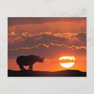Neushoorn bij zonsondergang, Masai Mara, Kenia Briefkaart