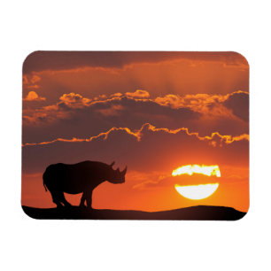 Neushoorn bij zonsondergang, Masai Mara, Kenia Magneet