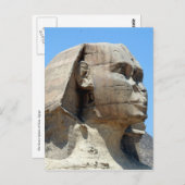 neushoorn briefkaart (Voorkant / Achterkant)