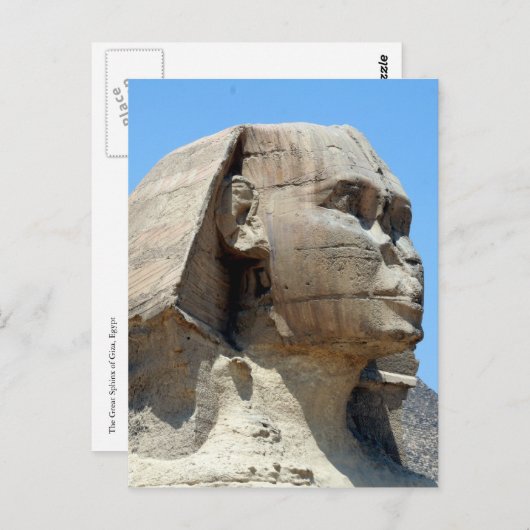 neushoorn briefkaart (Voorkant / Achterkant)