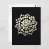 neushoorn Brooch op Black Velvet Briefkaart (Voorkant / Achterkant)