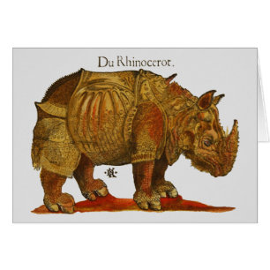  neushoorn Durer's Rhinoceros Antiek