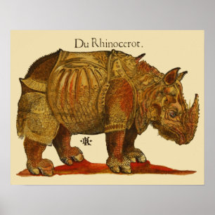 neushoorn Durer's Rhinoceros Antiek Poster