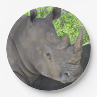 Neushoorn gezicht papieren bordje