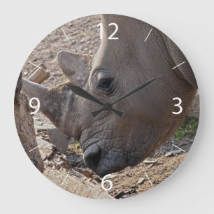 Neushoorn Grote Klok