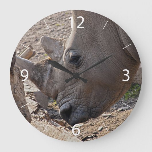 Neushoorn Grote Klok (Voorkant)