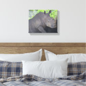 Neushoorn in boslandschap Focus Canvas Afdruk (Insitu (Slaapkamer))