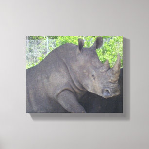 Neushoorn in boslandschap Focus Canvas Afdruk