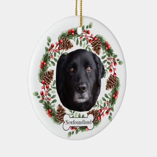 neushoorn keramisch ornament (Rechts)