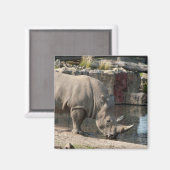 Neushoorn Magneet (Voorkant / Achterkant)