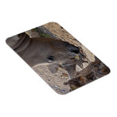 Neushoorn Magneet (Rechterzijde)