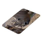 Neushoorn Magneet (Linkerzijde)