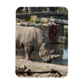 Neushoorn Magneet (Verticaal)
