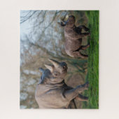 Neushoorn Moederschap Legpuzzel (Verticaal)
