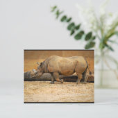 Neushoorn Portret Briefkaart (Staand voorkant)