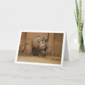 Neushoorn Portret Kaart (Voorkant)