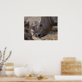 Neushoorn Poster (Keuken)