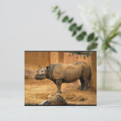 Neushoorn Rug Tegen de Muur Briefkaart (Staand voorkant)