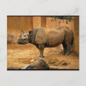 Neushoorn Rug Tegen de Muur Briefkaart (Voorkant)