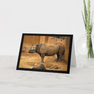 Neushoorn Rug Tegen de Muur Kaart
