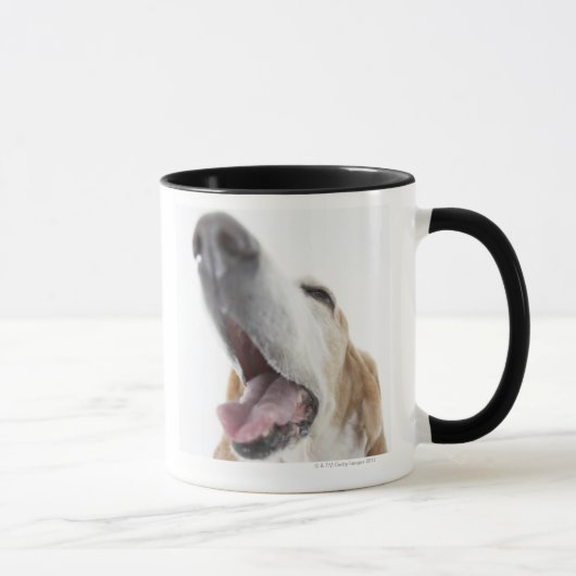 neushoorn van de hond, close-up mok (Rechts)