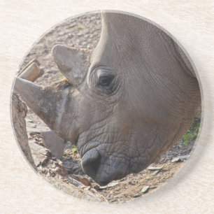 Neushoorn Zandsteen Onderzetter