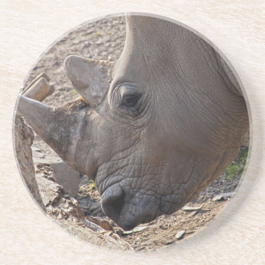Neushoorn Zandsteen Onderzetter (Voorkant)