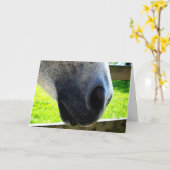 Neusklus Kaart (Gele Bloem)